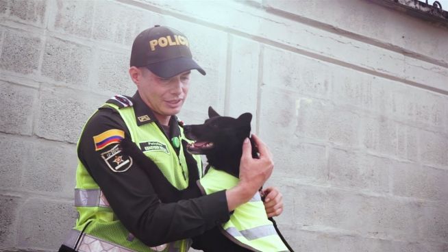 Die Hunde von Pereira: Von der Straße zur Polizei